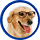 Fit One Petmart